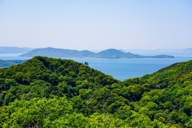 山の売買・管理